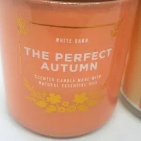 NWT Bath and Body Works Single Wick Candles The Perfect Autumn - Picture 1 of 2